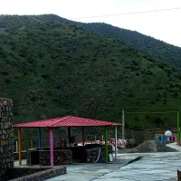 گل وگیاه ..