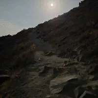 سرایه دار