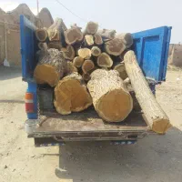 خریدچوب‌ودرخت|خدمات باغبانی و درختکاری|کاشان, راوند|دیوار