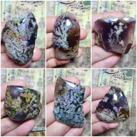 ۲۰عدد سنگ کلکسیونی شجر گل هفت رنگ و گل زرد