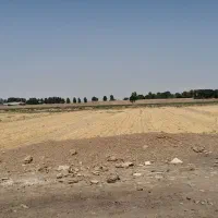 زمین کشاورزی به متراژ۵۰۰۰مترباسندومدارک کامل|فروش زمین و ملک کلنگی|قرچک, داوود آباد|دیوار