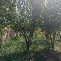 باغچه روستای خوش وآب هوازوایان|فروش خانه و ویلا|قم, امامزاده ابراهیم|دیوار