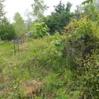 زمین با جواز ساخت