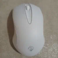 موس سفید در حد|قطعات و لوازم جانبی رایانه|تبریز, |دیوار