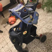 کاسکه|کالسکه و لوازم جانبی|رشت, کاکتوس|دیوار