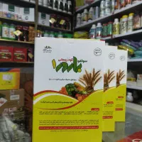 باکتری تیوباسیلوس