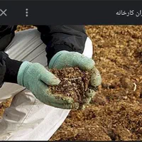 فروش کود کبوتر