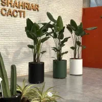 باغچه-550-متری-شهریار-اسکمان-رزکان-دهشاد-بالا