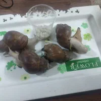 حلزون
