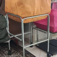 طوطی برزیلی|پرنده|تهران, بهداشت|دیوار