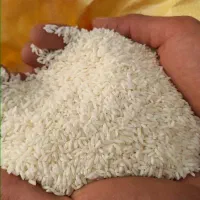 فروش عمده برنج سورنا ماسوری