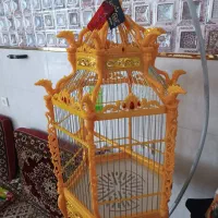 قفس پرنده|لوازم جانبی حیوانات|قنوات, |دیوار