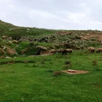 زمین کشاورزی