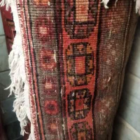 فرش دستباف قدیمی|فرش|قم, علی آباد|دیوار