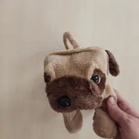 کیف بچگانه|کیف، کفش، کمربند|کرج, اتحاد|دیوار