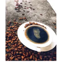 قالیچه شیک 4متری