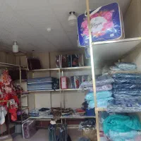 فقط رگال ها زرد فروشی هستن