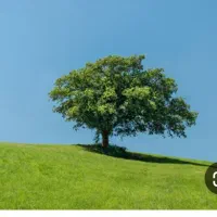 فروش زمین مسکونی