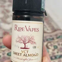 جویس سالت|زیورآلات و اکسسوری|بجنورد, |دیوار