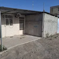 گلخانه مکانیزه و صنعتی|فروش دفتر صنعتی، کشاورزی، تجاری|تیران, |دیوار