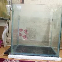 آکواریم بزرگ خارجی معاوضه