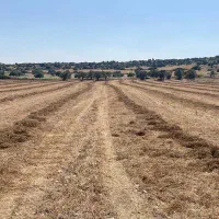 2600زمین کشاورزی سند دار نزدیک سراب