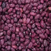 کارگر ساده|استخدام صنعتی، فنی، مهندسی|سنندج, |دیوار