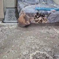 اجاره سوئیت .اپارتمان شبانه روز|اجارهٔ کوتاهمدت آپارتمان و سوئیت|بندرعباس, |دیوار