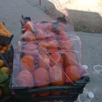 mioeiiii|خوردنی و آشامیدنی|فولادشهر, B7|دیوار