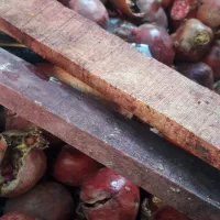 رب انار جمکرون|خوردنی و آشامیدنی|قم, جمکران|دیوار