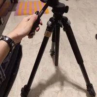 دوربین canon EOS 850D|دوربین عکاسی و فیلم‌برداری|تهران, سردارجنگل|دیوار