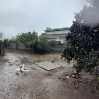 فروش زمین و خانه قدیمی|فروش زمین و ملک کلنگی|رضوانشهر, |دیوار