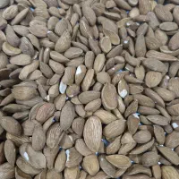 بادام درختی بدون نمک