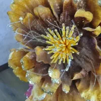 گلدان بزرگ با گله‌اش فقط ۳۱۰ تومن|گل مصنوعی|تبریز, |دیوار