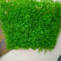 چمن مصنوعی و گرین وال|گل مصنوعی|بروجرد, |دیوار