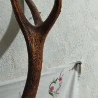 کلکسیونی