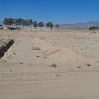 زمین|فروش زمین و ملک کلنگی|سبزوار, ایزی شهر|دیوار