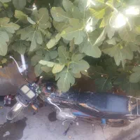 متور 87