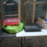 قفس پرنده|لوازم جانبی حیوانات|اسلام‌شهر, زرافشان|دیوار