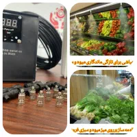مهپاش کافه باغ/دامداری مرغداری/سبزی گلخانه/ قارچ|ماشین‌آلات صنعتی|سلماس, |دیوار