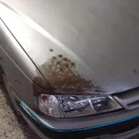 پژو پارس|خودرو سواری و وانت|قزوین, |دیوار