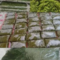 خورشتی جنوب|خوردنی و آشامیدنی|شاهین‌شهر, شهرک مطهری|دیوار