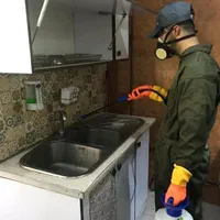 شرکت سم پاشی موریانه زدایی سمپاشی ساس گال موش کنه