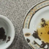 فال قهوه و تاروت فوری و دقیق شبانه روزی