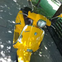 وسپا همتاز درحد