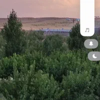 مزرعه-فعال-با-سند-تک-برگ-بویین-زهرا