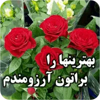 کارت ملی