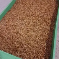 میلورم خشک کیلویی ۹۰۰ بالای ۲۰ کیلو ۸۷۰