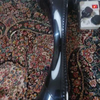 اسکوتر تایوانی|دوچرخه، اسکیت، اسکوتر|بندرعباس, |دیوار