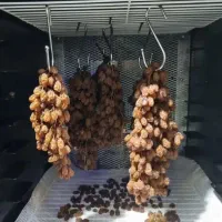 فرصت استثنایی کسب و کار در منزل
